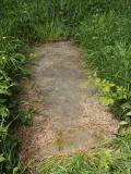 image of grave number 433106